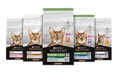 Корми для котів 