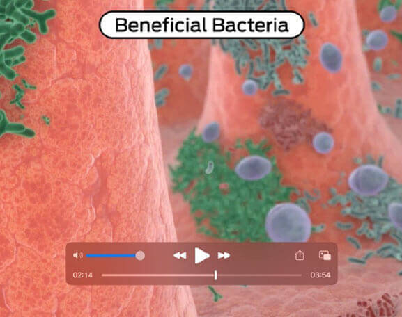 PRO PLAN® FortiFlora®. Режими дії