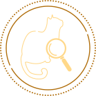 Illustration of a cat with a magnifying glass symbolizing the regular screenings step.