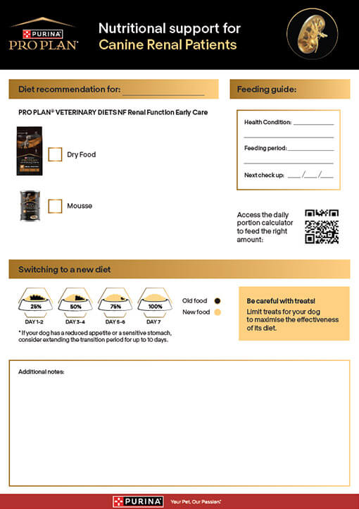 Client take-away - Renal Care