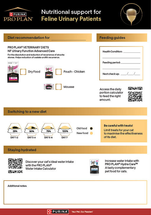 Take-away flyer for Feline Urinary Care