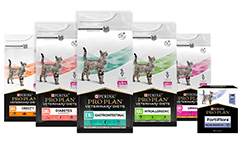 Ветеринарні раціони для котів