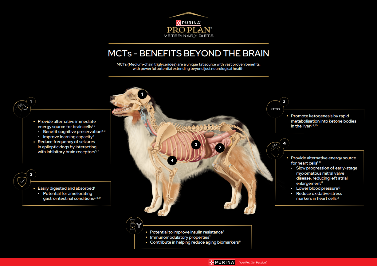 MCTs - BENEFITS BEYOND THE BRAIN