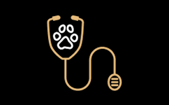 Я ветеринар