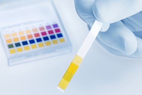 Захворювання нижніх сечових шляхів у котів - причини та лікування