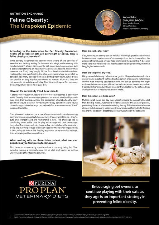 Ожиріння котів