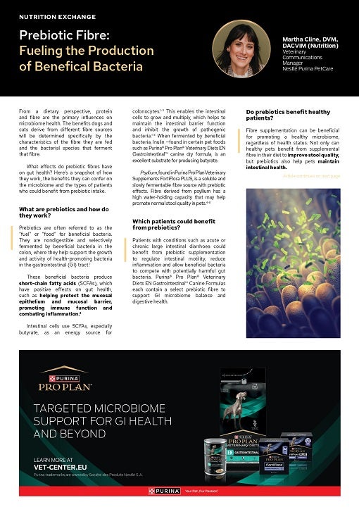 Пребіотик: клітковина стимулює вироблення корисних бактерій