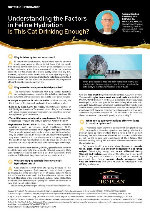 Розуміння факторів гідратації котів. Чи достатньо ця кішка п'є?
