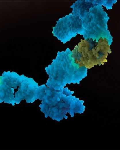 ПРОРИВ У БОРОТЬБІ З КОТЯЧИМИ АЛЕРГЕНАМИ