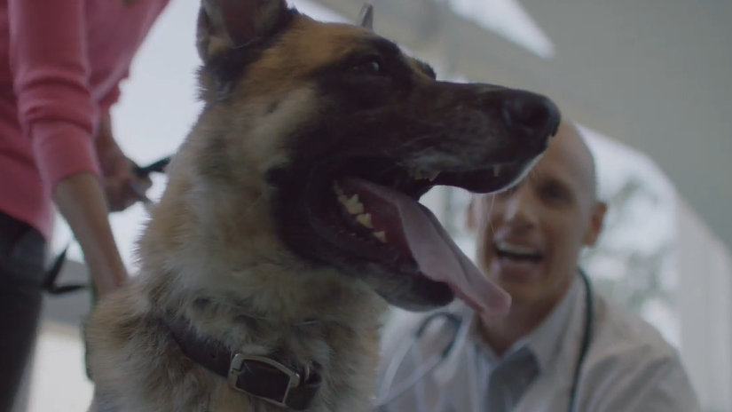 Життя - наша лабораторія: Управління хронічними ентеропатіями зі Стеном Марксом