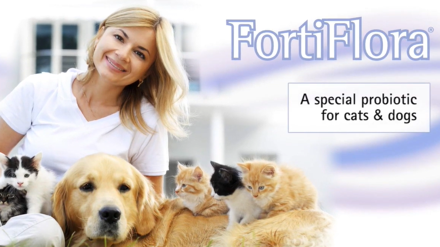 ФортіФлора