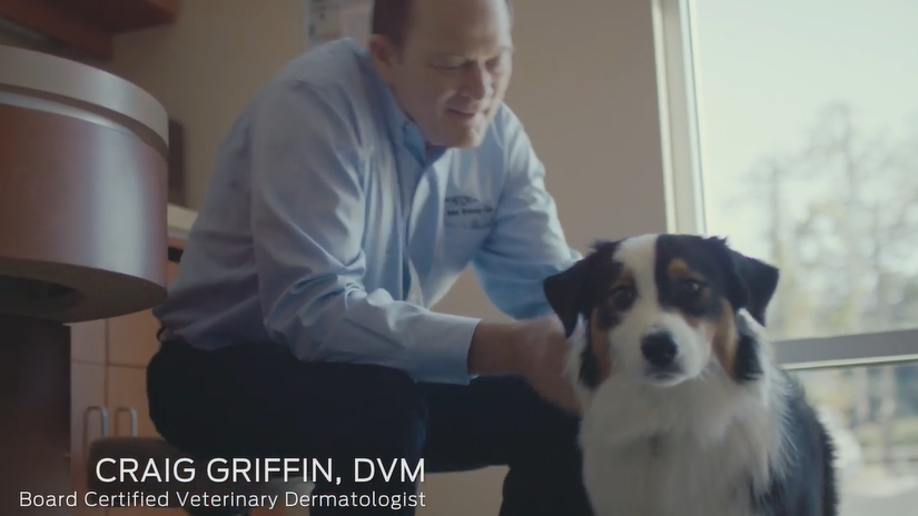 Життя - це наша лабораторія: Гідролізований раціон НА, доктор Крейг Гріффін