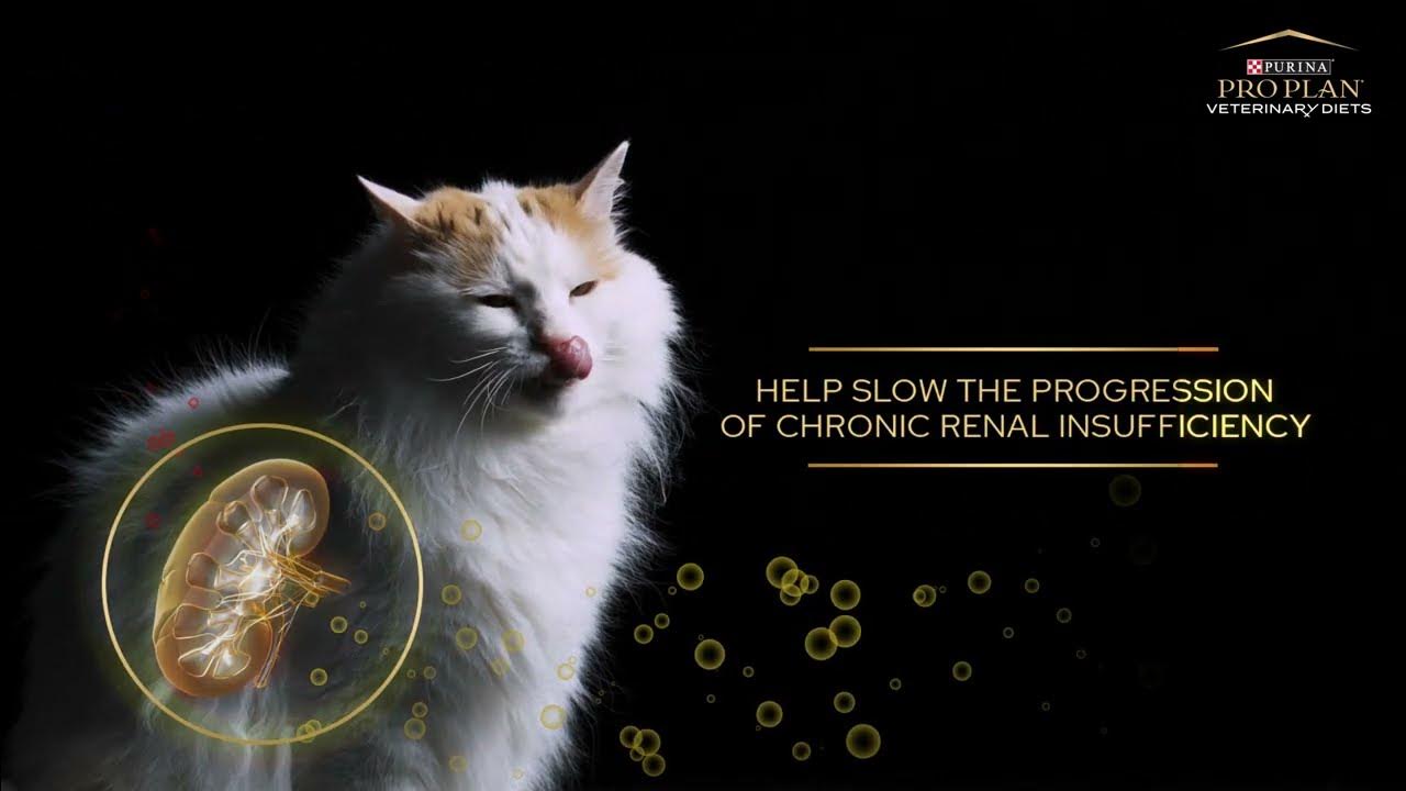PURINA PRO PLAN Ветеринарна дієта для собак для підтримання функції нирок НФ Ренал Фанкшен