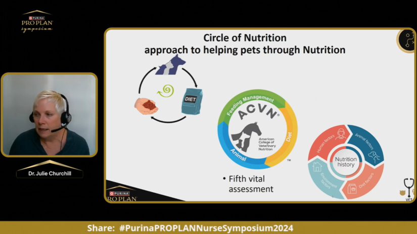 Як розпочати розмову про харчування – поради та рекомендації, доктор Джулі Черчилль
