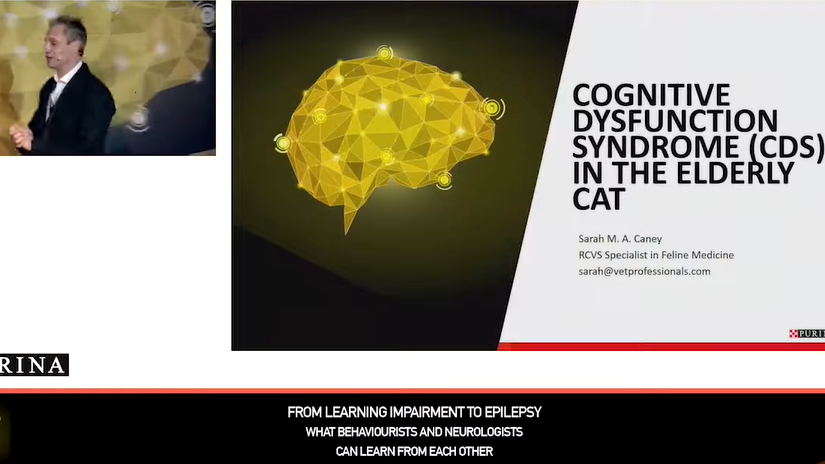 Сара М А - Симпозіум  2018