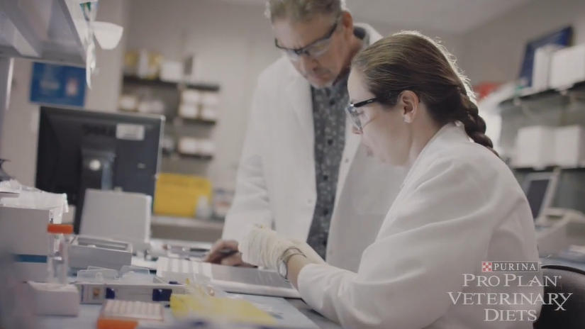 Життя - наша лабораторія: Новаторські гідролізовані раціони для домашніх улюбленців-алергіків