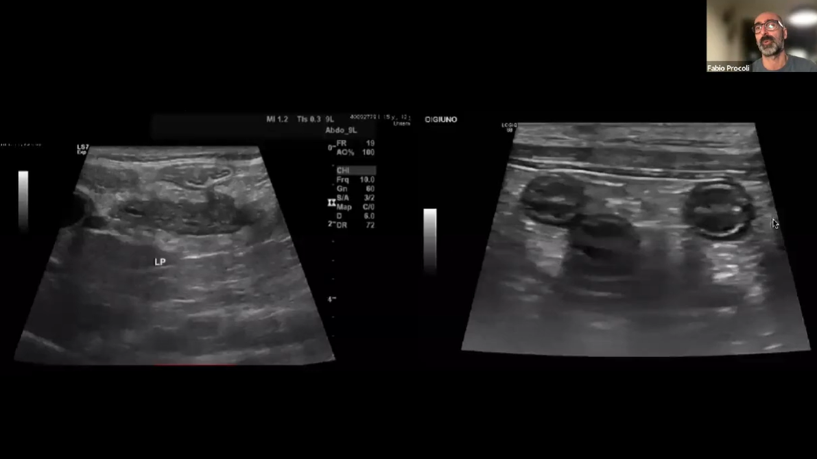 Підхід до хронічного тріадиту котів