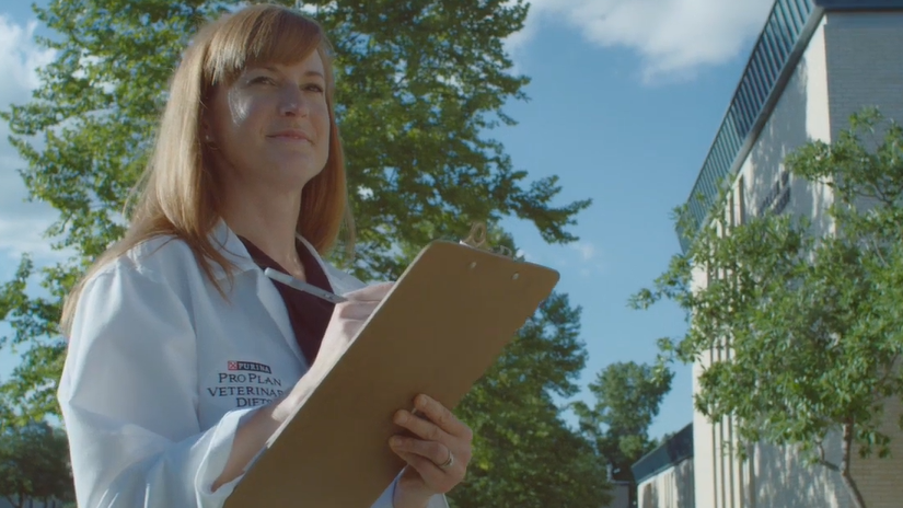 Лікування артриту у собак за допомогою раціону для собак JM Joint Mobility