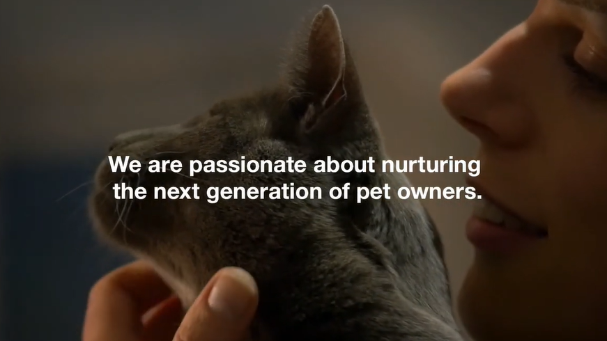 Історія Ензо та Рейчел | Знайомтеся: Пуріна