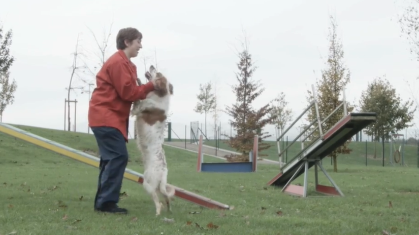 Людям та тваринам краще разом| Знайомтеся: Пуріна