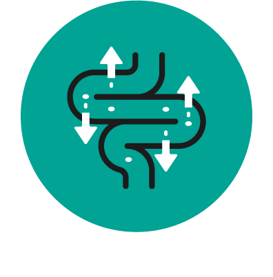 Easy to digest logo