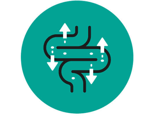 Easy to digest logo