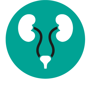 Urinary system logo
