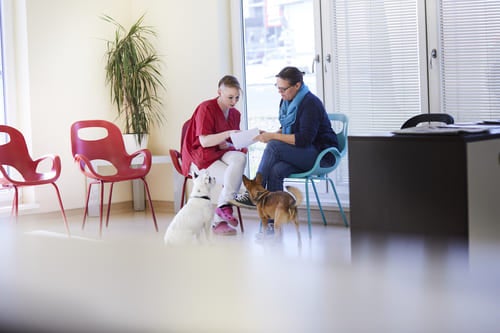 Визначення «готовності до змін» у харчуванні клієнта