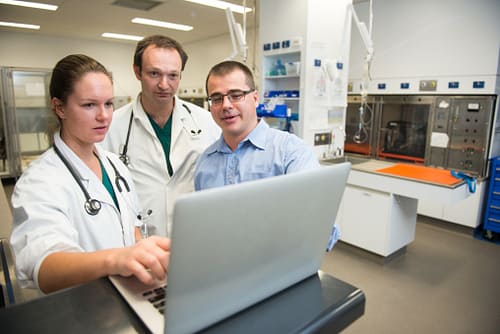 Клінічні випадки - Тедді, Джакс, Кітті