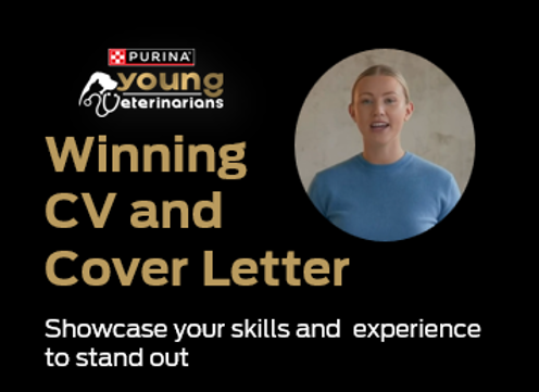 Створіть успішне резюме та супровідний лист