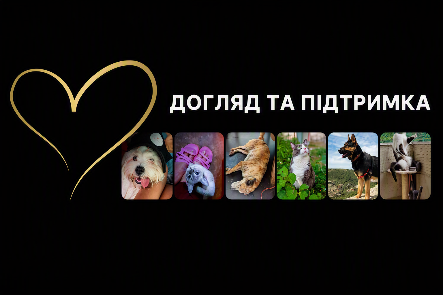 догляд і підтримка