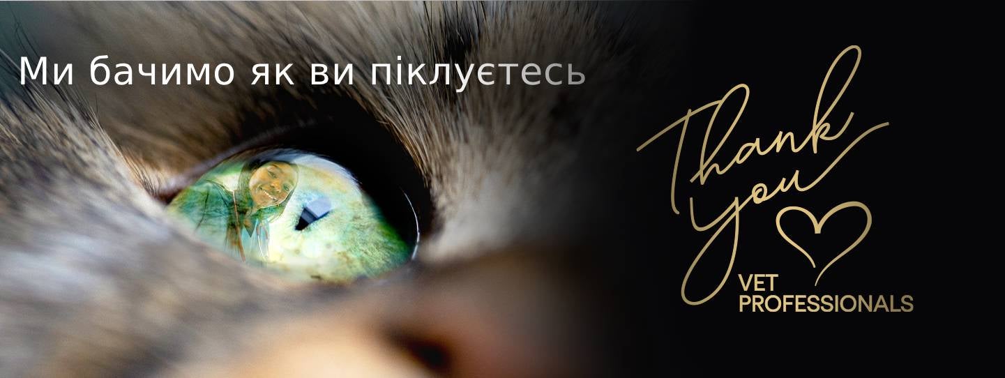 Ми бачимо як ви піклуєтесь