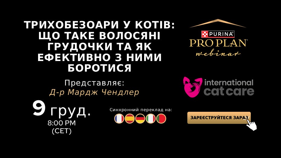 Трихобезоари у котів: розуміння грудок шерсті та ефективне керування ними