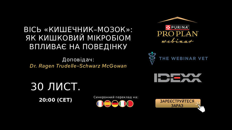 Банер вебінару Purina Pro Plan та IDEXX 30 листопада о 20:00 CET із синхронним перекладом.