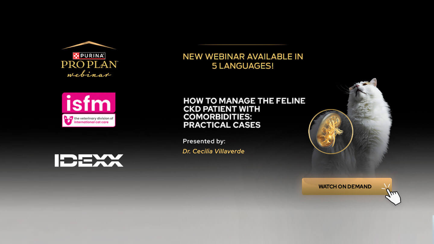 Переглянути запис вебінару «Як вести пацієнта з ХХН з супутніми захворюваннями»