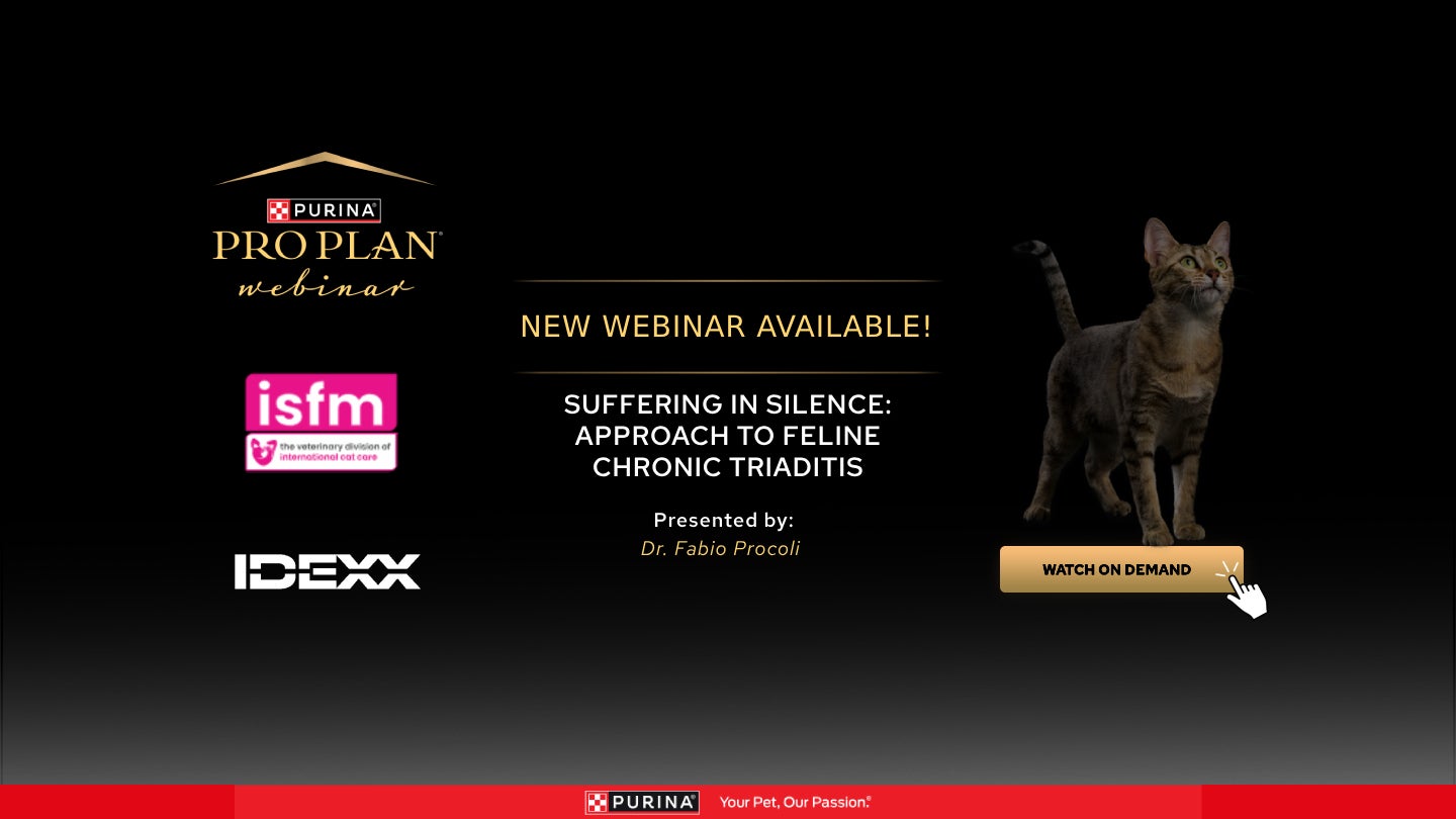 Доступний новий запис - Страждання мовчки: Підхід до лікування хронічного тріадиту котів