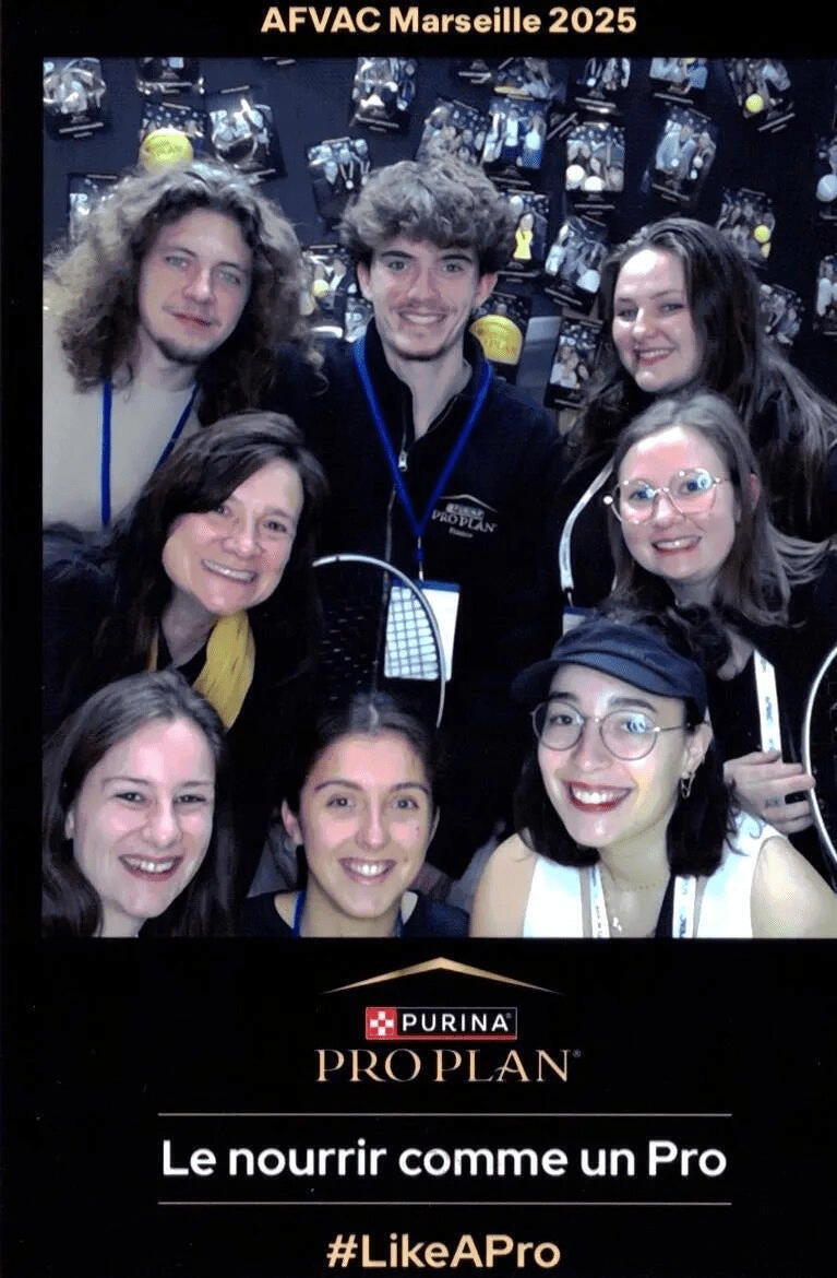 Тік ток сторіс