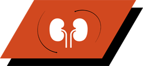 Підтримка імунної системи та здоровій роботі нирок