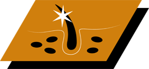 З омега-3 і 6 жирними кислотами для підтримки здорової шкіри і красивої шерсті