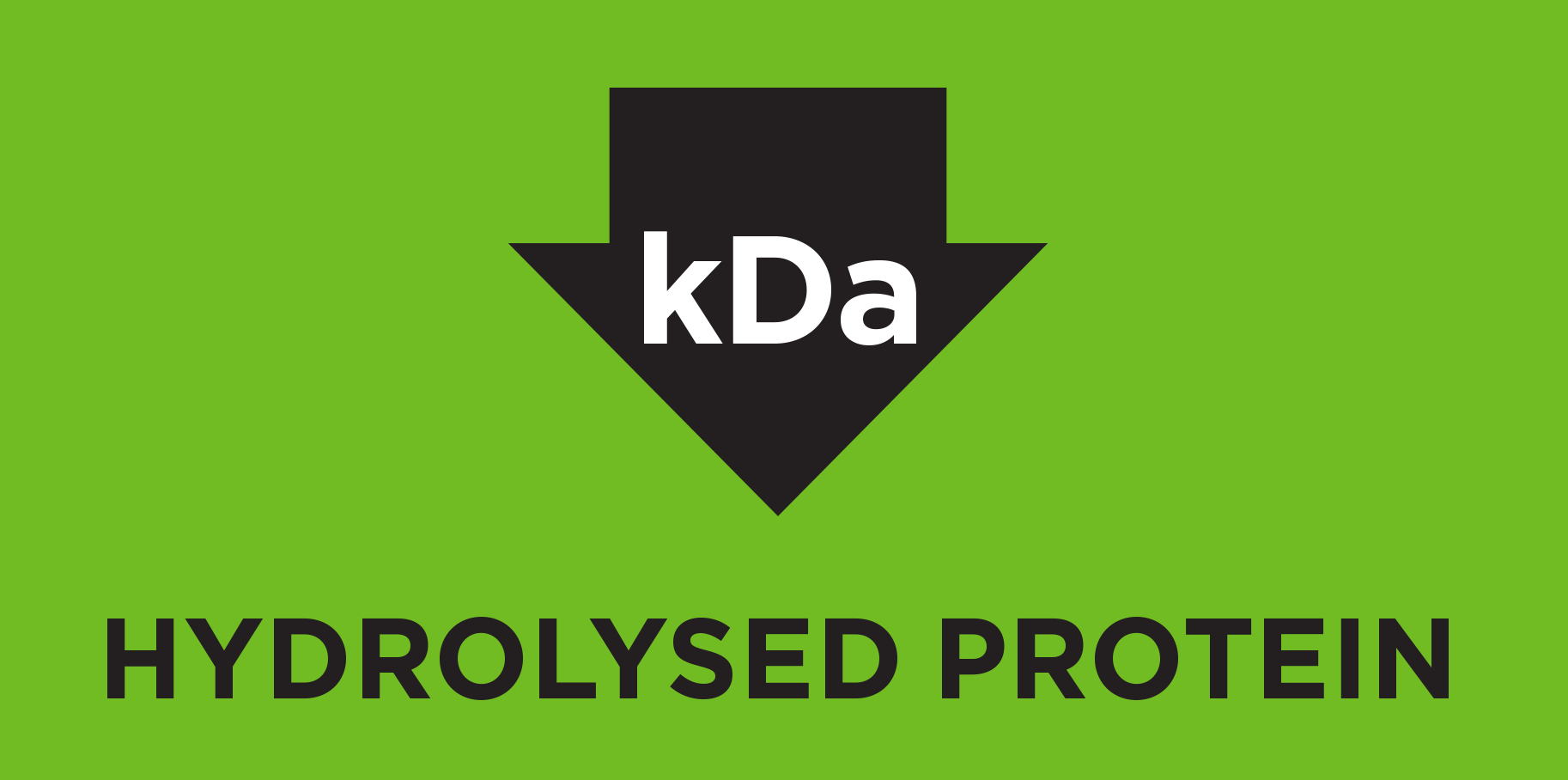 Гідролізований білок