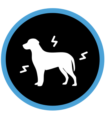 Доведено, що допомагає собакам справлятися із зовнішніми стресовими факторами