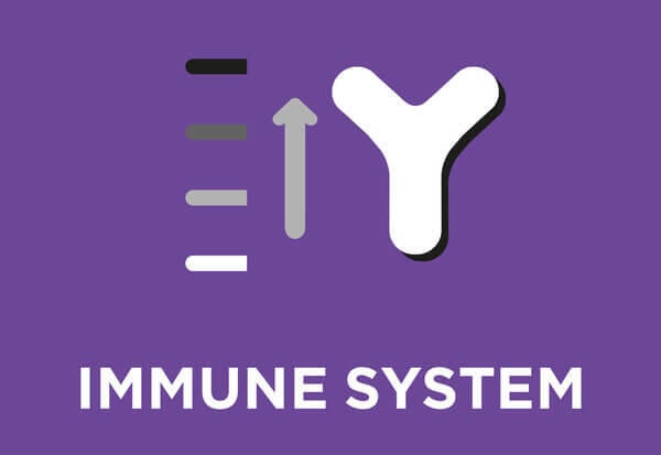 Містить гарантований рівень мікрокапсульованих життєздатних пробіотичних бактерій Enterococcus faecium (Ентерококи феціум) шт