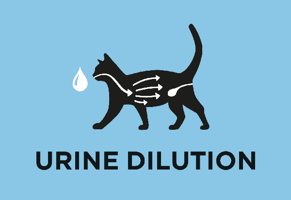 Сприяє розрідженню сечі