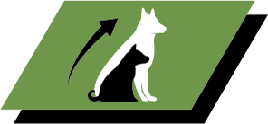 Здоровий ріст і довгострокове здоров'я