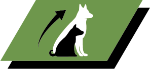 Здоровий ріст і довгострокове здоров'я  