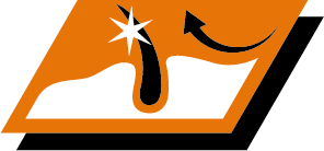 Збережіть шерсть вашої собаки красивою та блискучою