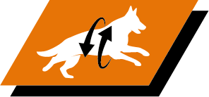 Підтримайте здоров'я суглобів