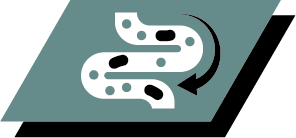 Кращий баланс мікрофлори кишечника