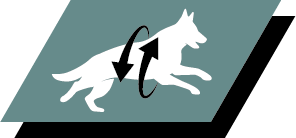 Підтримка здоров'я суглобів