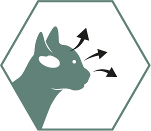 Допомагає підтримувати здоровий зір та розвиток мозку завдяки ДГК